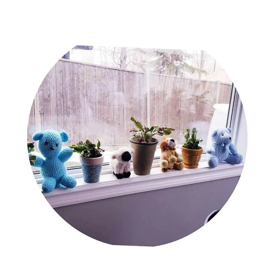 Best Garden House&3 Mins Bus Station Close C-Train&Free Parking Calgary